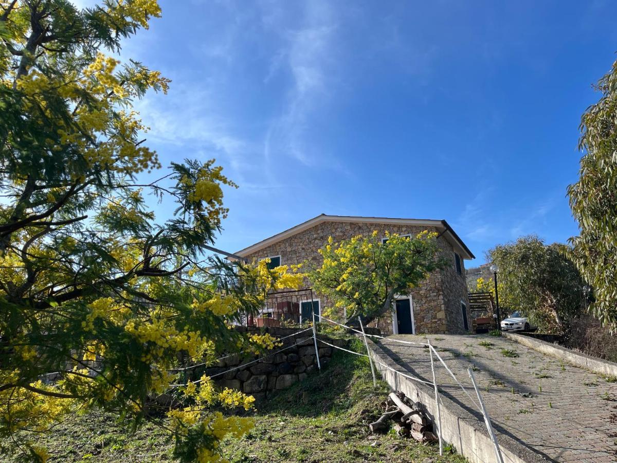 Agriturismo Le Mimose インペリア エクステリア 写真