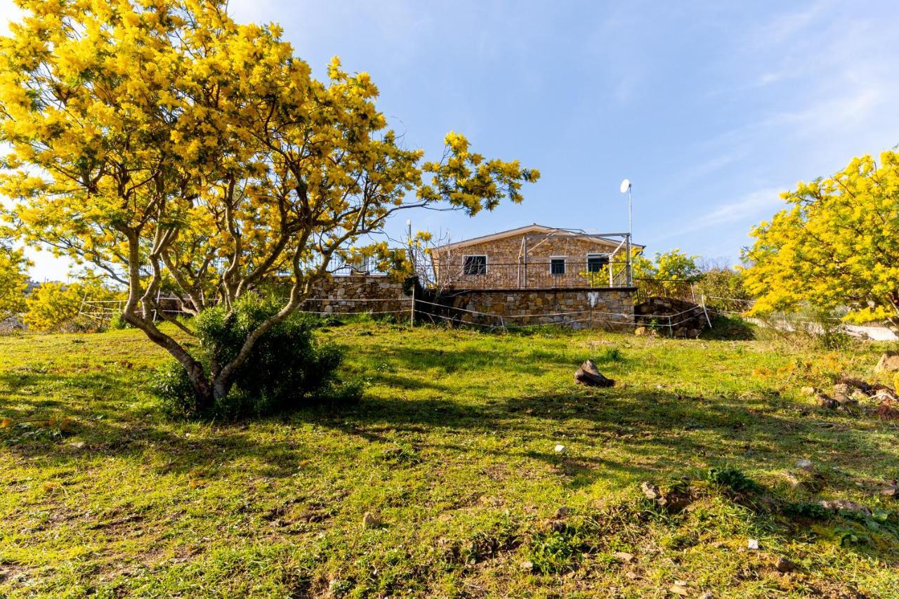 Agriturismo Le Mimose インペリア エクステリア 写真